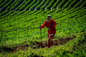 BIB: 
                            <button type="button" onclick="openModal(19160671)" class="btn btn-primary btn-sm float-right btn-popup" data-toggle="modal" data-target=".modal-high-quality">
                        <i class="fas fa-shopping-cart"></i> Add to Cart
                    </button>
                                            <button type="button" onclick="isThisMe(19160671, true)" class="btn btn-success btn-sm float-right btn-popup btn-isme hidden" data-toggle="tooltip" data-placement="bottom" title="นี่คือรูปของคุณใช่ไหม คลิกที่นี่เพื่อเอาเข้าอัลบั้ม">
                        <i class="fas fa-plus"></i> Add to album
                    </button>
                    <button type="button" onclick="isThisMe(19160671, false)" class="btn btn-warning btn-sm float-right btn-popup btn-isnotme hidden">
                        <i class="fas fa-ban"></i> Remove from album
                    </button>